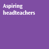 Aspiring headteachers graphic